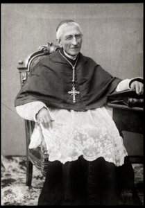 Portret van Francois-Marie-Benjamin Richard de la Vergne (Kardinaal Richard) (1819-1908) door French Photographer